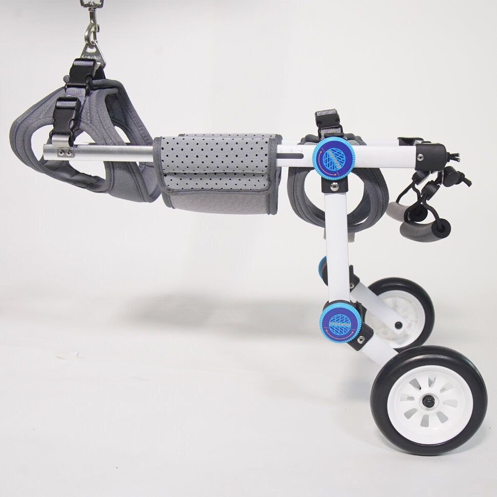Small Dog Wheelchair