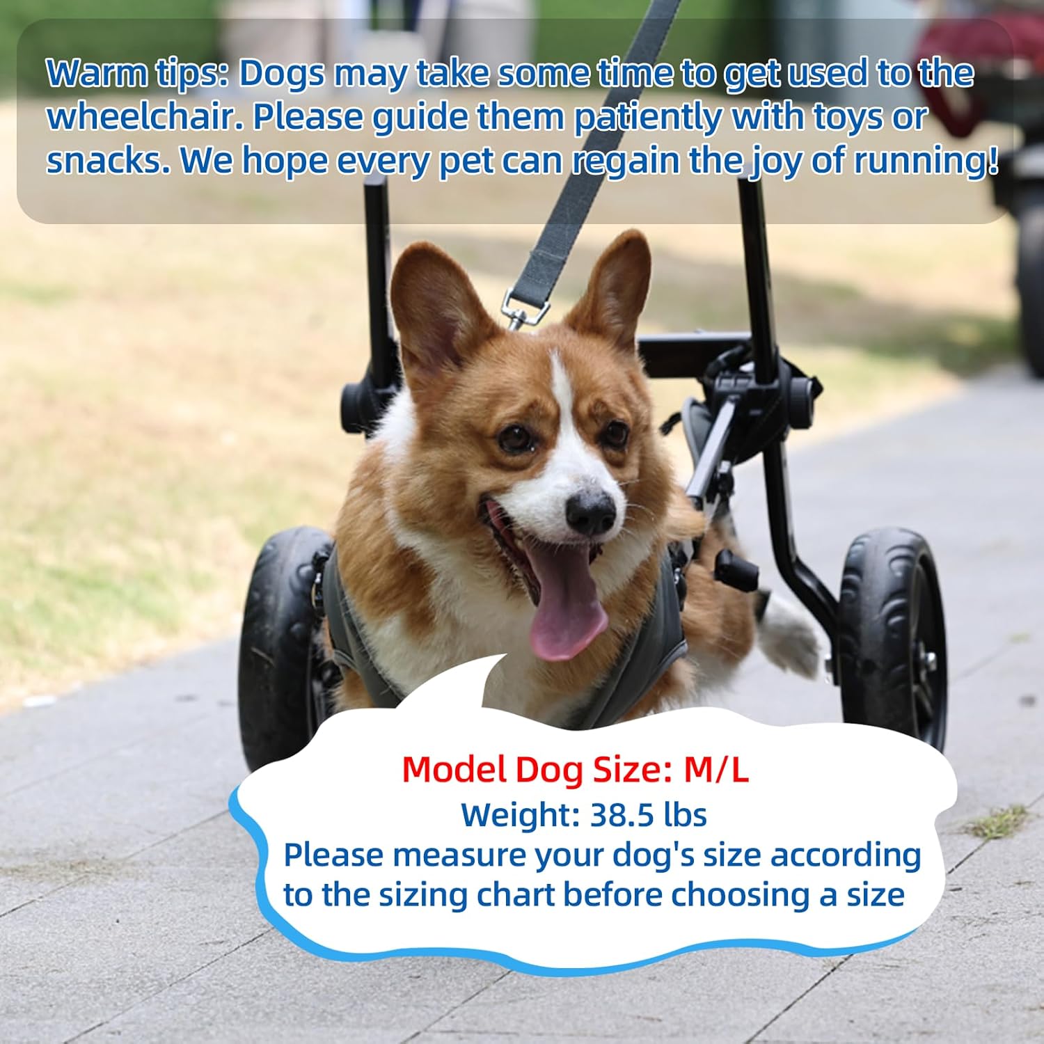 Adjustable Dog Wheelchair