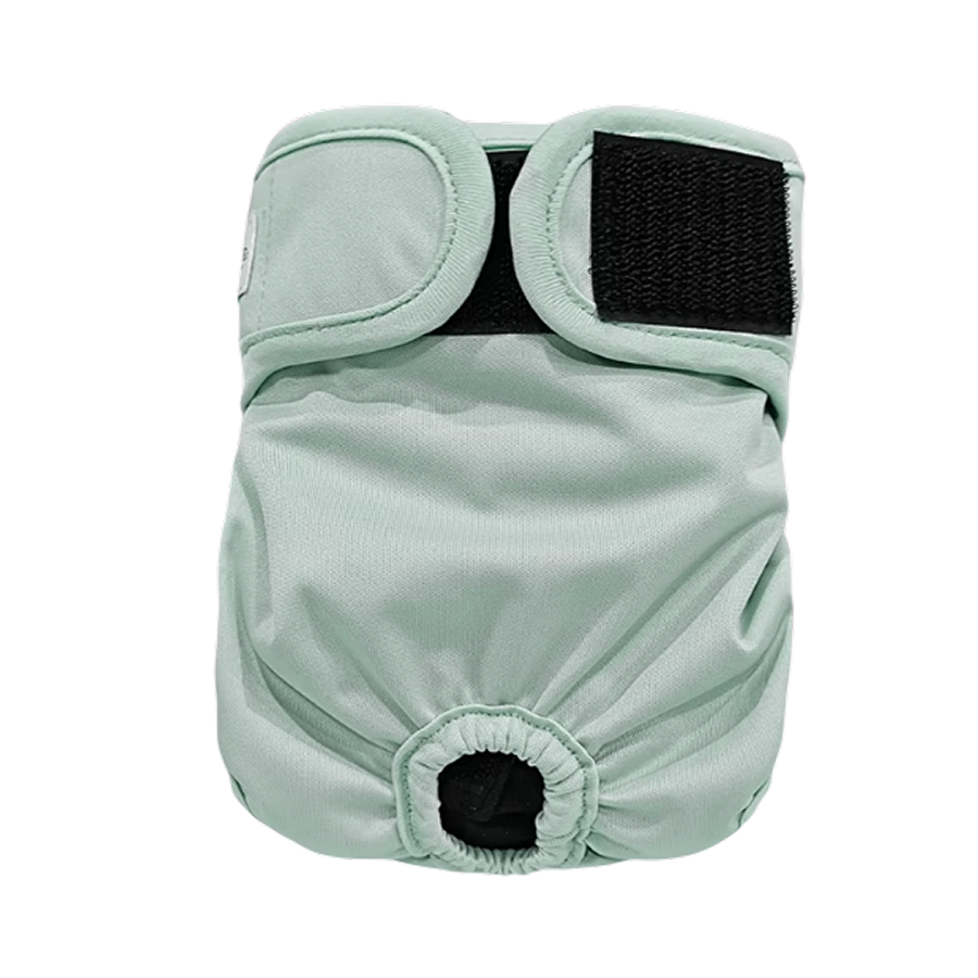 Absorbent Diaper for Dogs