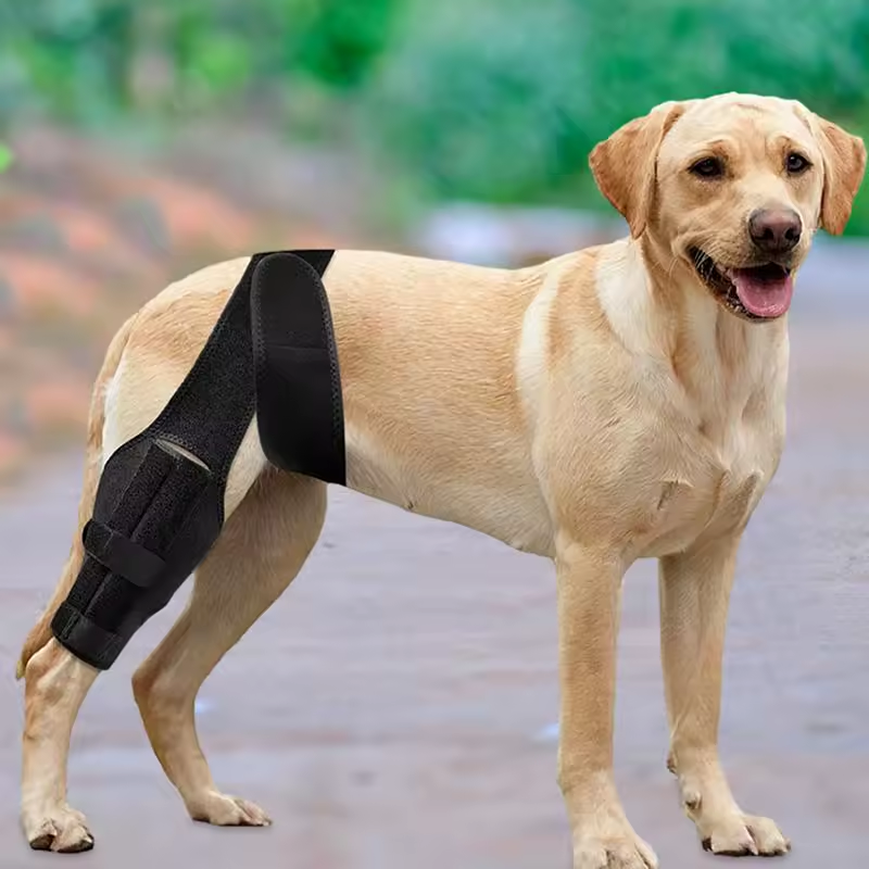 Back Leg Knee Brace for Dogs