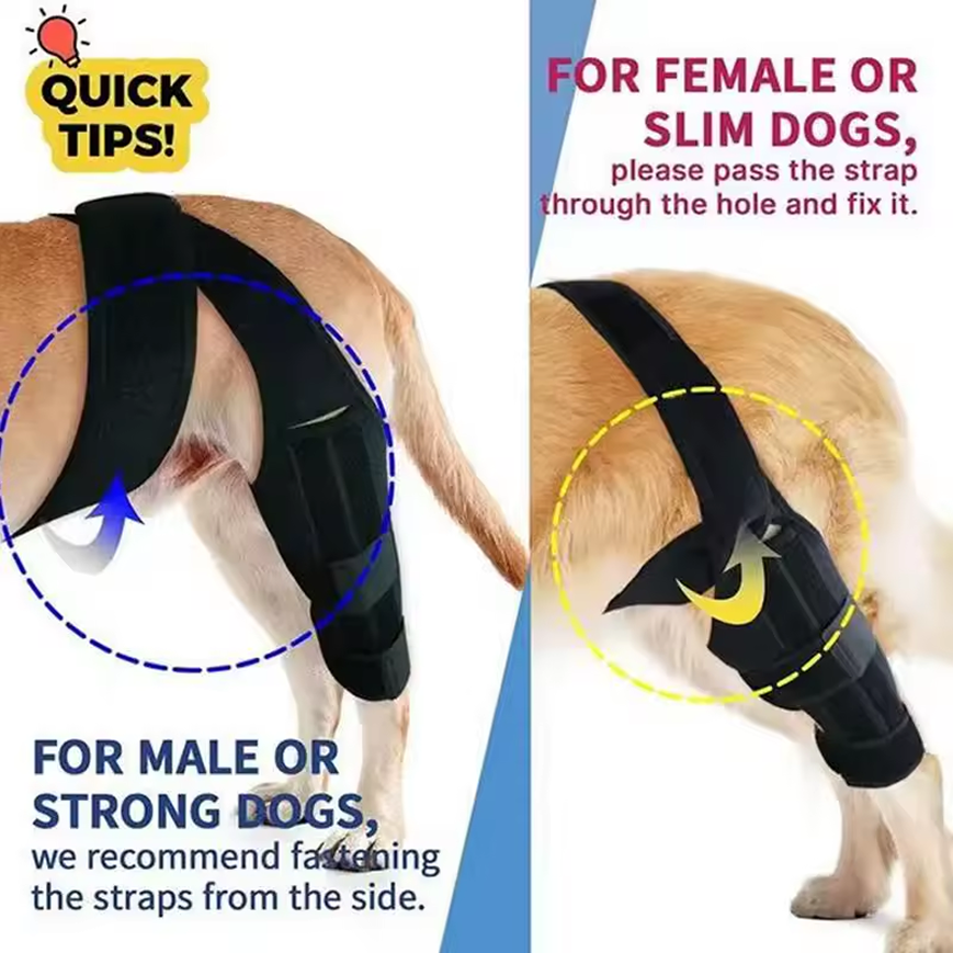 Back Leg Knee Brace for Dogs