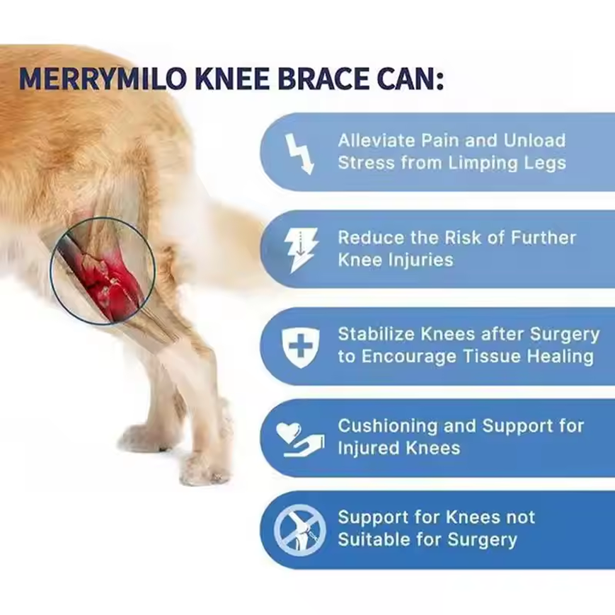 Back Leg Knee Brace for Dogs