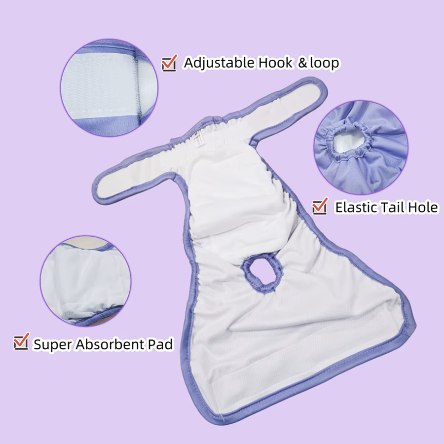 Absorbent Diaper for Dogs