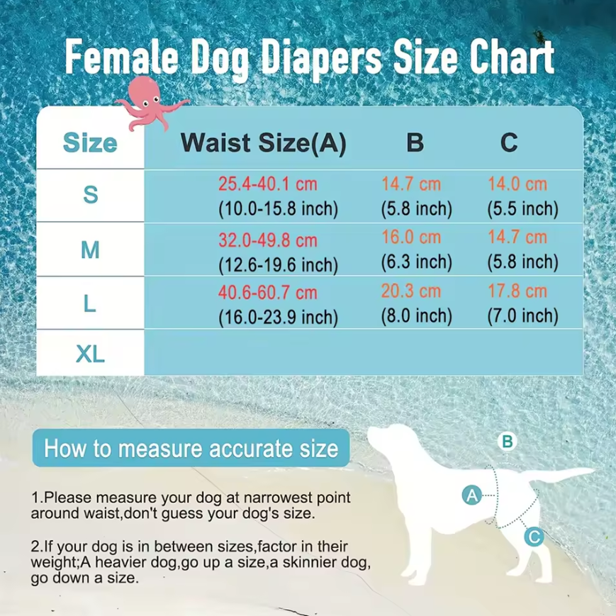 Absorbent Diaper for Dogs