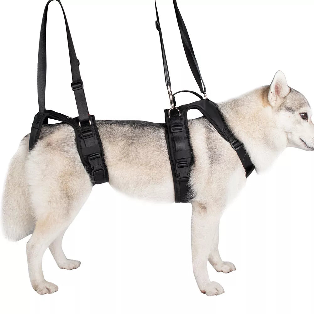 Dog Lift Harness