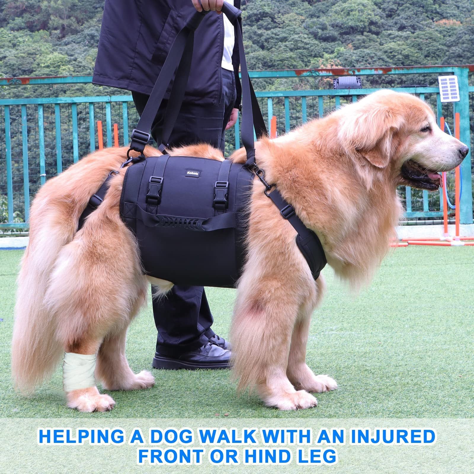 Portable Dog Sling