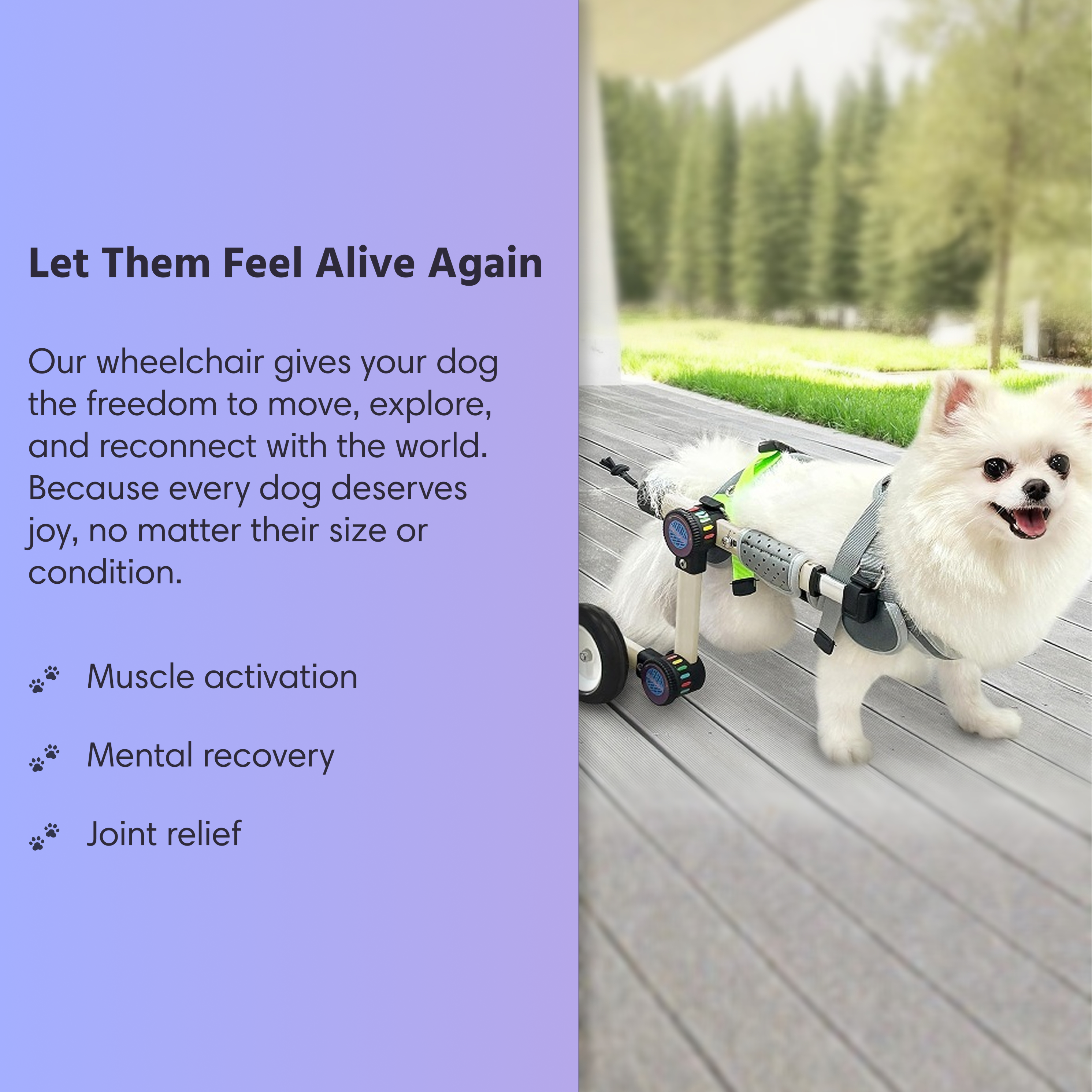 Small Dog Wheelchair