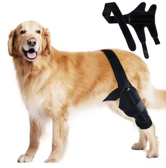Back Leg Knee Brace for Dogs