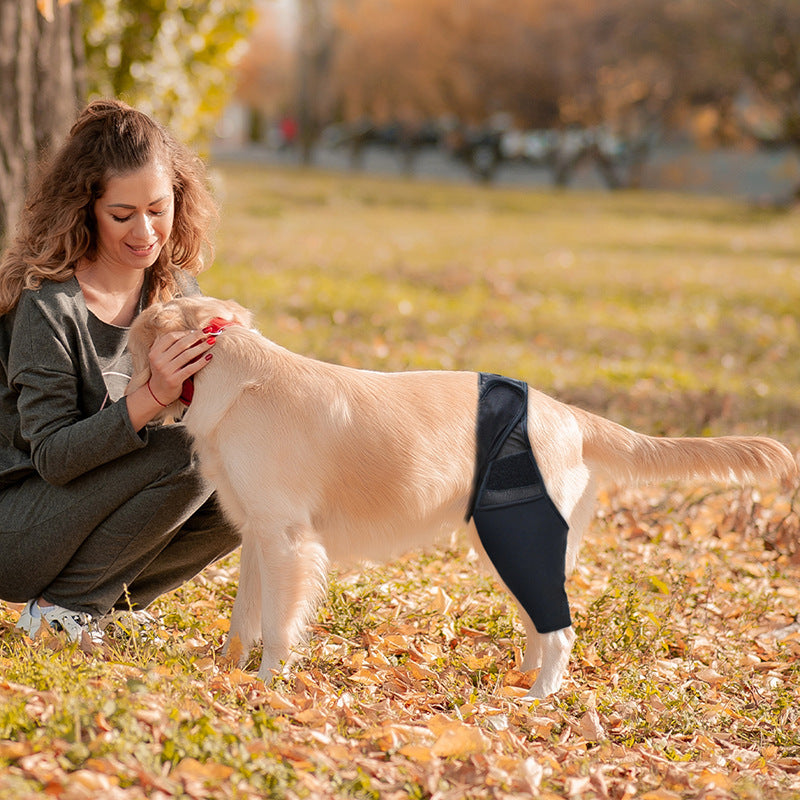 Dog Leg Support Wrap