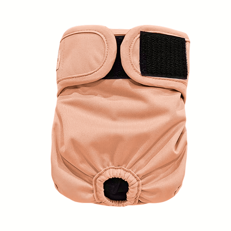 Absorbent Diaper for Dogs