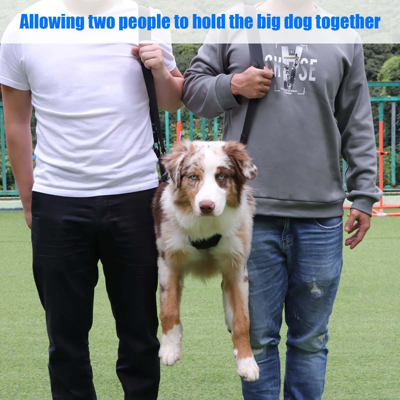 Portable Dog Sling