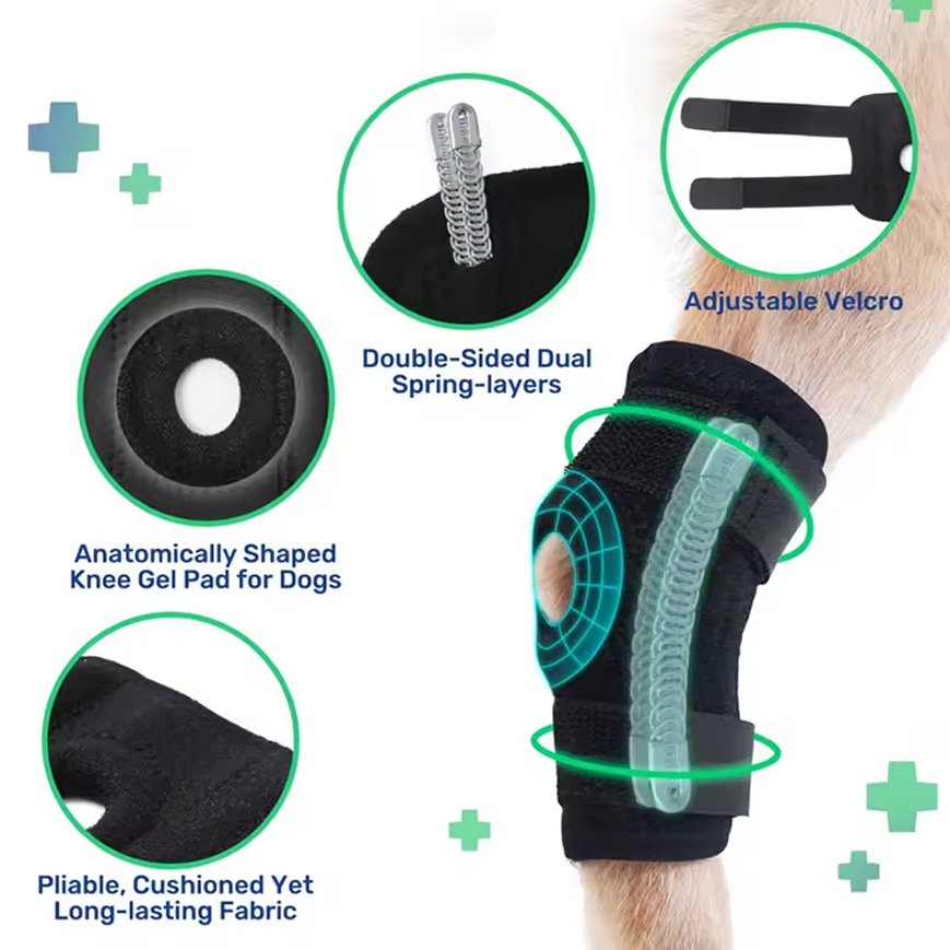 Dog carpal support