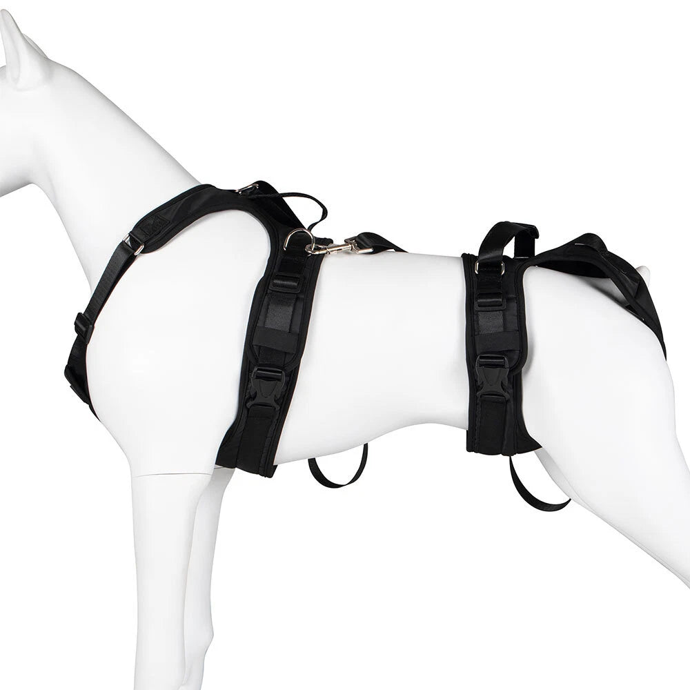 Dog Lift Harness