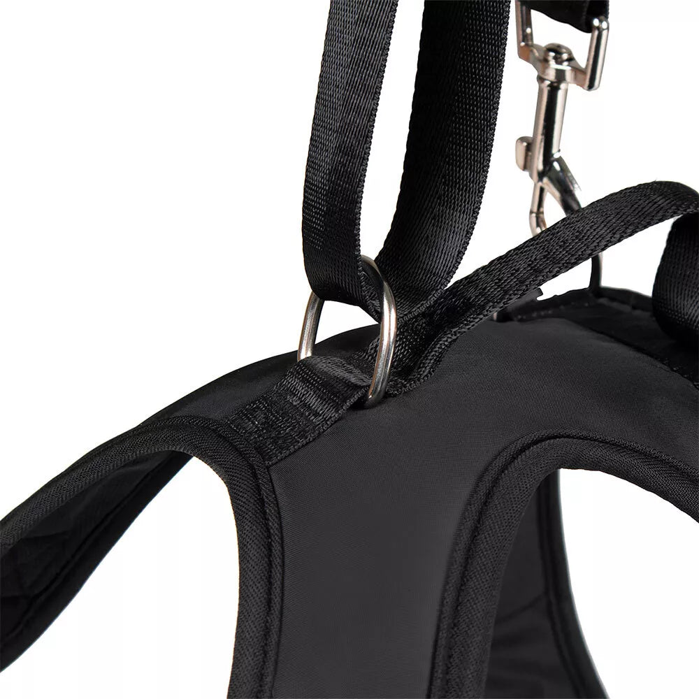 Dog Lift Harness