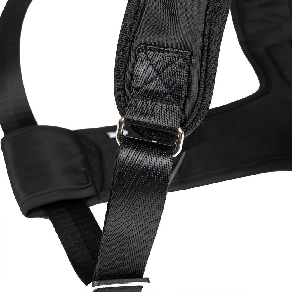 Dog Lift Harness
