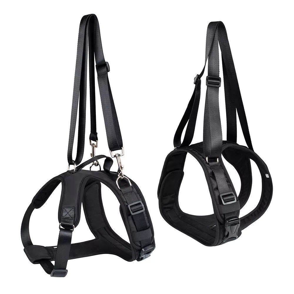 Dog Lift Harness